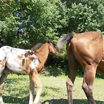 Amici Miei
