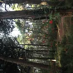 ホテル Amici Miei *