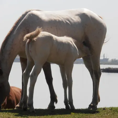 Amici Miei Отель Марина-Ромеа