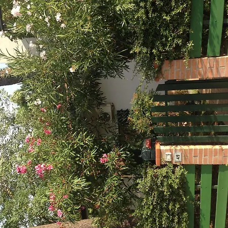 Hotell Amici Miei Marina Romea