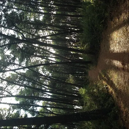 Amici Miei * Марина-Ромеа