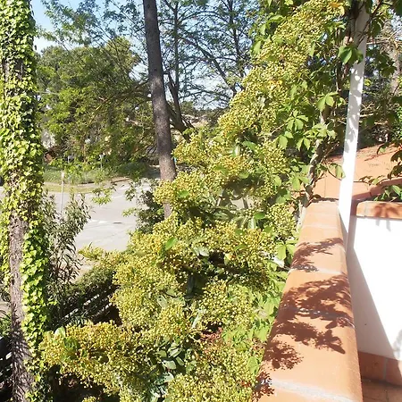 Hotel Amici Miei Marina Romea