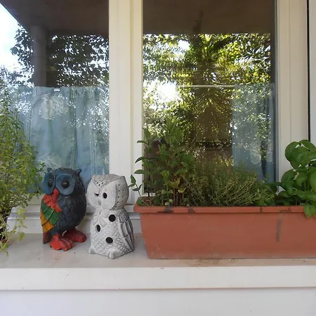 Bed & Breakfast Amici Miei