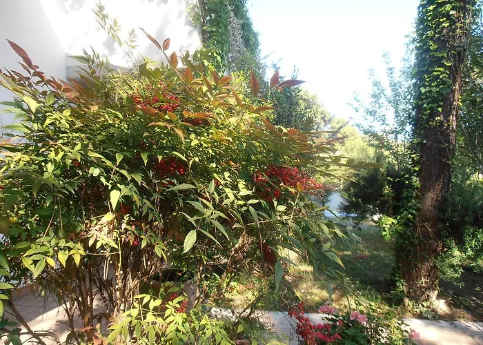 Amici Miei * Marina Romea