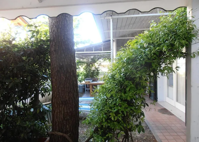 Hotel Amici Miei Marina Romea