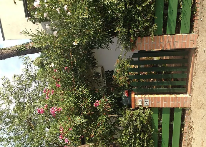 Hotel Amici Miei Marina Romea