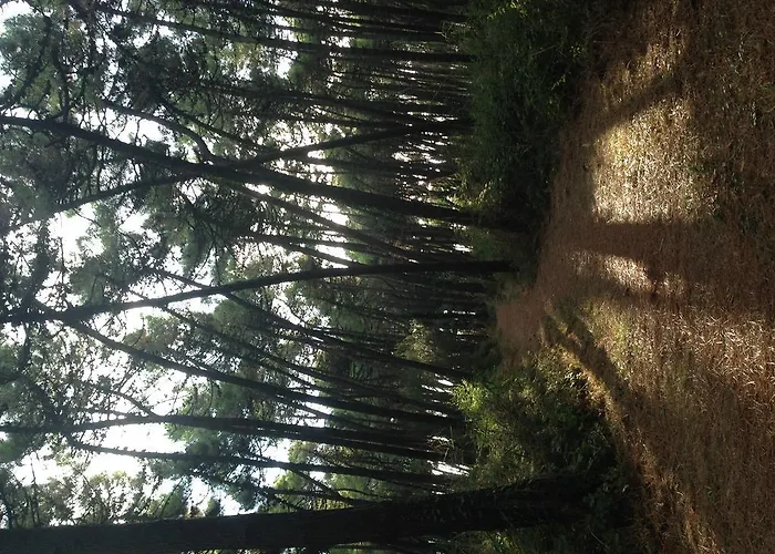 Amici Miei * Marina Romea