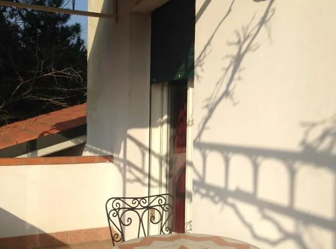 Amici Miei Marina Romea