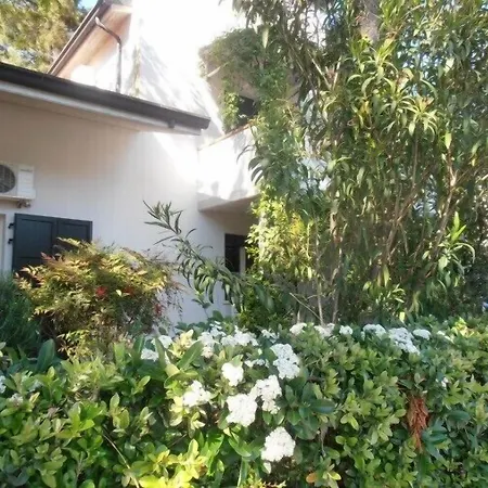 Amici Miei Hotel Marina Romea