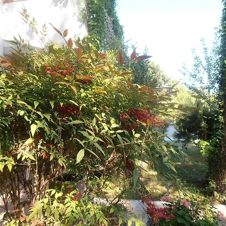 Amici Miei * Marina Romea