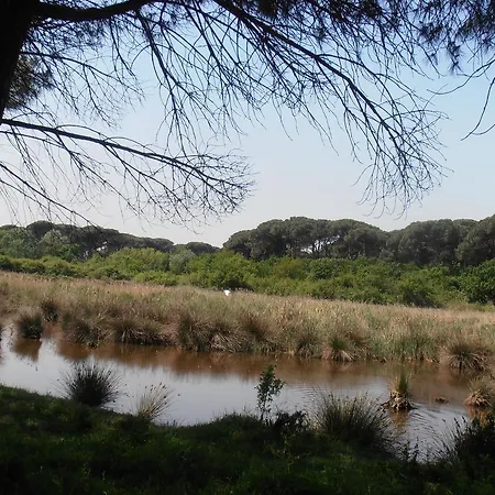 Hotel Amici Miei Marina Romea