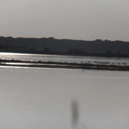 Hotel Amici Miei Marina Romea