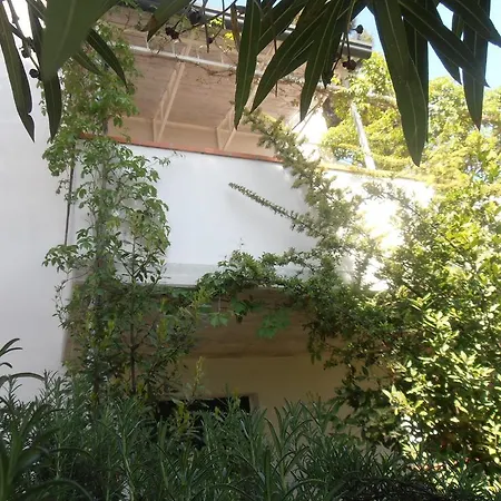 Amici Miei Marina Romea