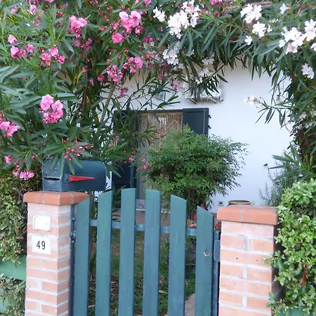 Amici Miei * Marina Romea