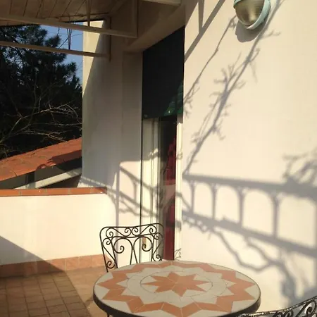 Amici Miei Marina Romea