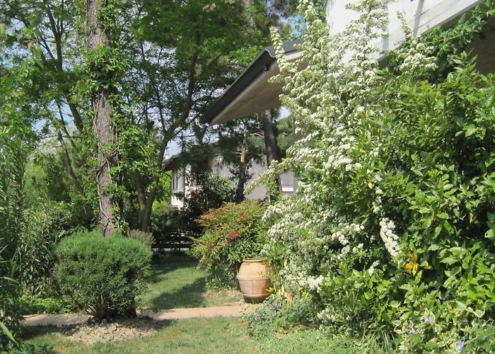 Amici Miei マリーナ・ロメア