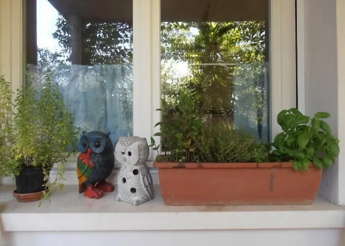 ホテル Amici Miei