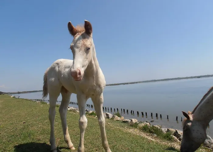 Amici Miei 마리나로미에