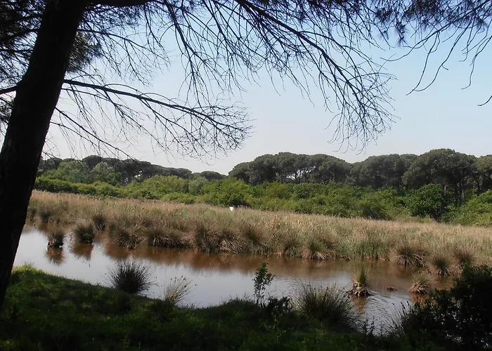 ホテル Amici Miei マリーナ・ロメア