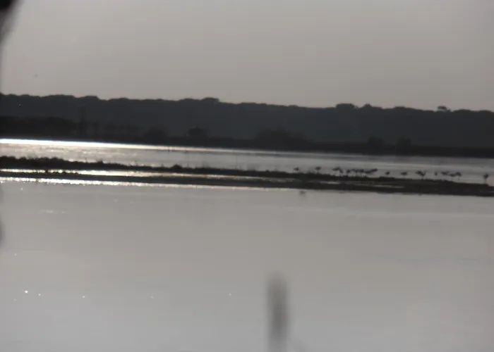 ホテル Amici Miei マリーナ・ロメア