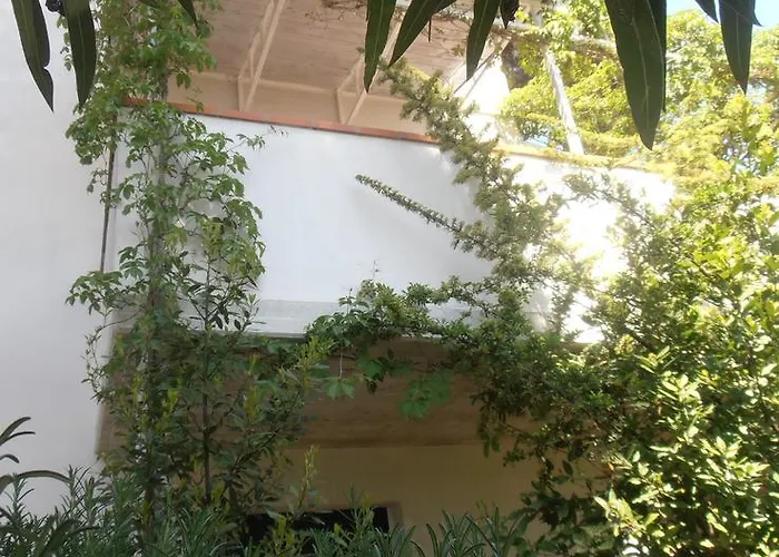 Amici Miei 마리나로미에